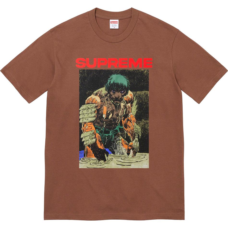 Brown Supreme Ronin Tee T Shirts | PH240ZG