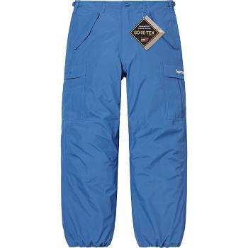 Blue Supreme GORE-TEX PACLITE® Cargo Pant Pants | PH411OR