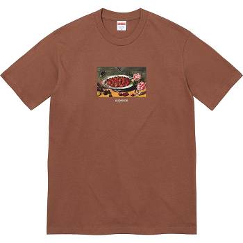 Brown Supreme Strawberries Tee T Shirts | PH251TV